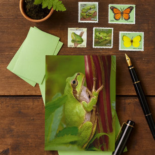 Green Tree Frog Climbing - Stunning Wildlife Photo Postcard