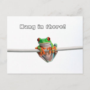 Green tree frog - Hang... Postcard