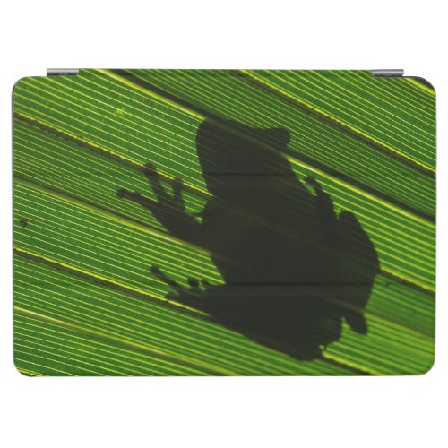 Green Tree Frog Hyla cinerea 1 iPad Air Cover