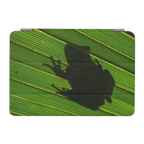 Green Tree Frog Hyla cinerea 1 iPad Mini Cover