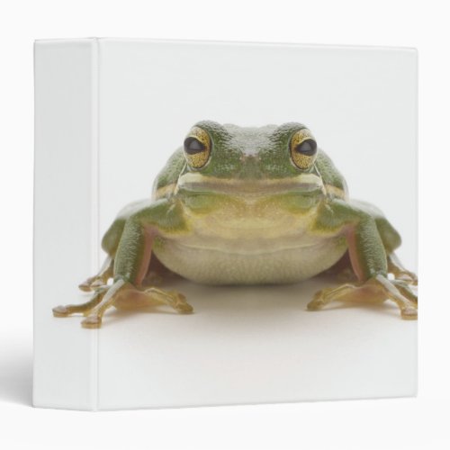 Green tree frog Hylidae cinerea 3 Ring Binder