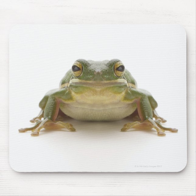 Green tree frog (Hylidae cinerea) Mouse Pad (Front)