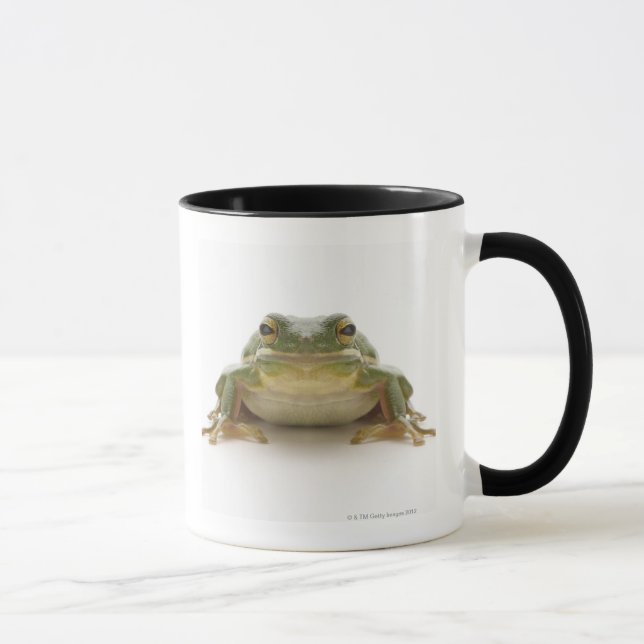 Green tree frog (Hylidae cinerea) Mug (Right)