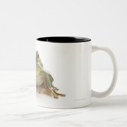 Green tree frog Hylidae cinerea Two_Tone Coffee Mug