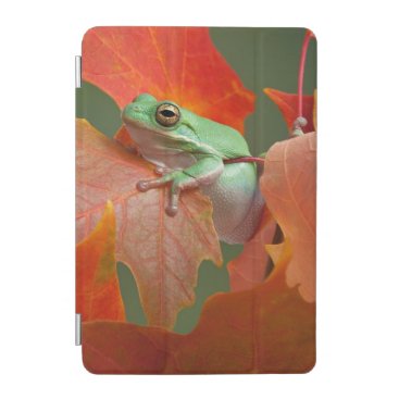 Green Tree Frog In Fall iPad Mini Cover