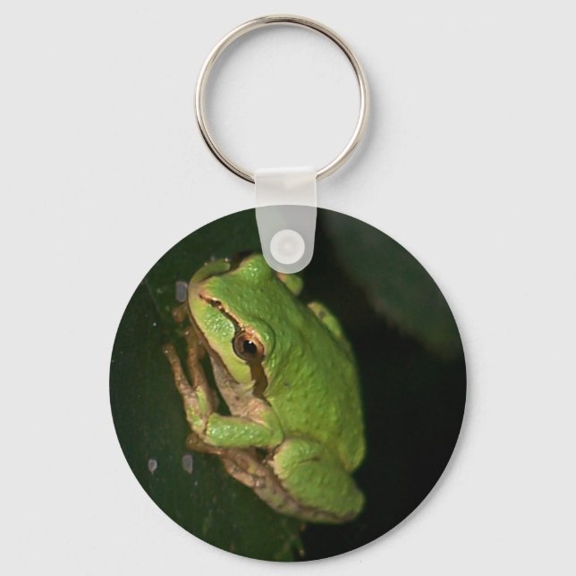 Green Tree Frog Keychain (Front)