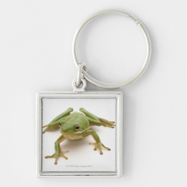 Green Tree Frog Keychain (Front)