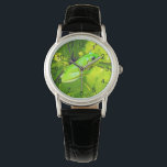 Green Tree Frog, Ladies Leather Watch<br><div class="desc">Pictured in green fern leaves is a green tree frog</div>