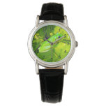 Green Tree Frog, Ladies Leather Watch