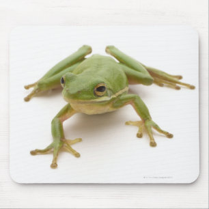 Green Tree Frog Mouse Pad