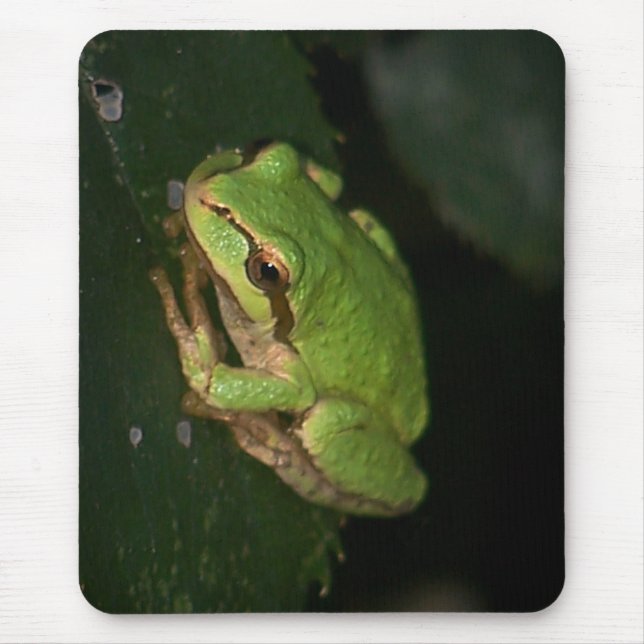 Green Tree Frog Mousepad (Front)