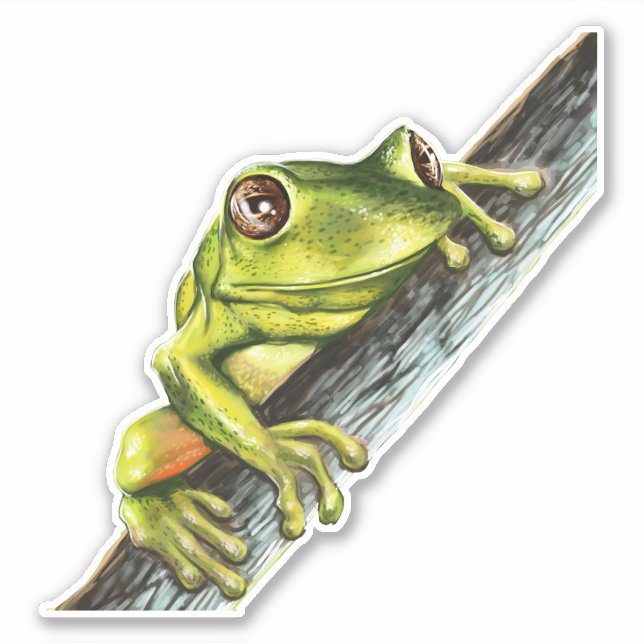 Green tree frog on a branch with big eyes vinyl sticker (Front)