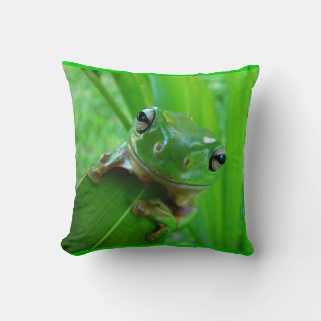 Green Tree Frog Pillow (Front)