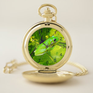 Green Tree Frog, Pocket Watch