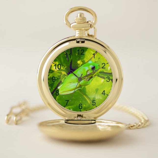 Green Tree Frog, Pocket Watch (Inside)