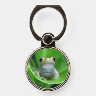 Green Tree Frog - Ring Stand Phone Grip