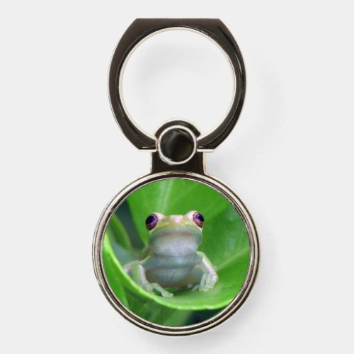 Green Tree Frog _ Ring Stand Phone Grip