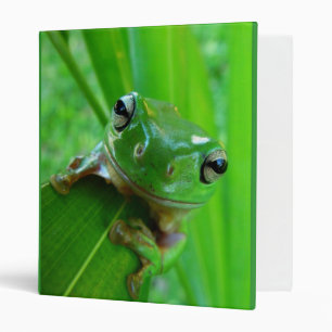Green Tree Frog Watching You 3 Ring Binder