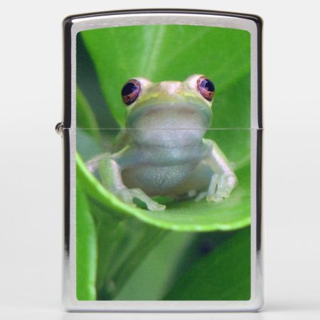 Green Tree Frog Zippo Lighter