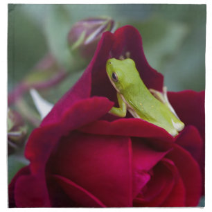Green Tree Frogs and Red Roses Napkin