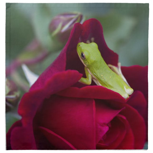 Green Tree Frogs and Red Roses Napkin (Front)