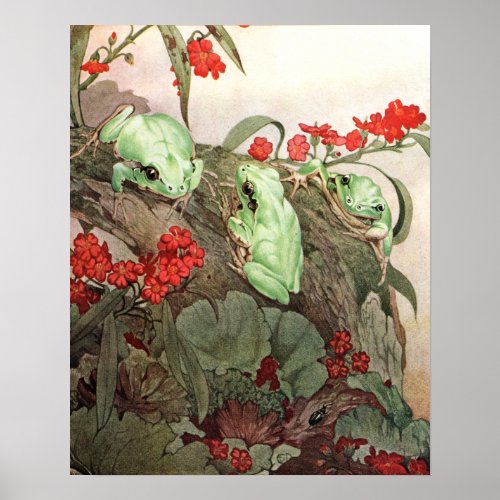Green Tree Frogs by E J Detmold Poster