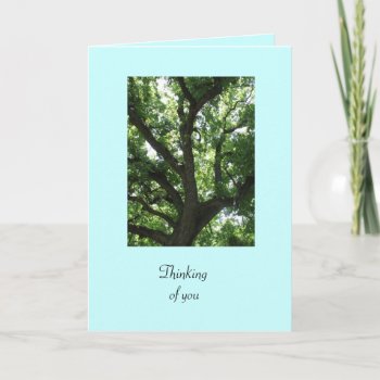 Green Tree Get Well Card by PattiJAdkins at Zazzle