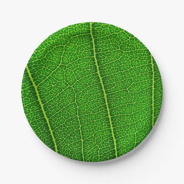 Green Tree Leaf Paper Plates (Front)