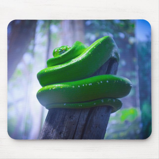 Green Tree Python (A) Mouse Pad (Front)
