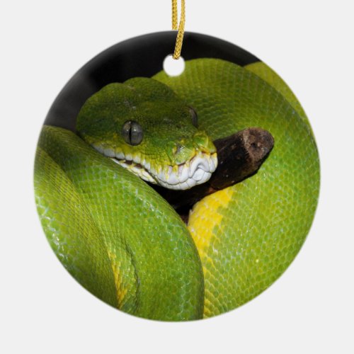 Green tree python ceramic ornament