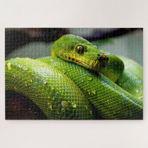 Green Tree Python Jigsaw Puzzle