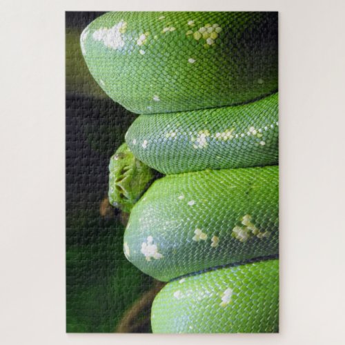 Green Tree Python Jigsaw Puzzle