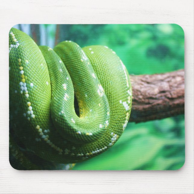 Green Tree Python Mousepad (Front)