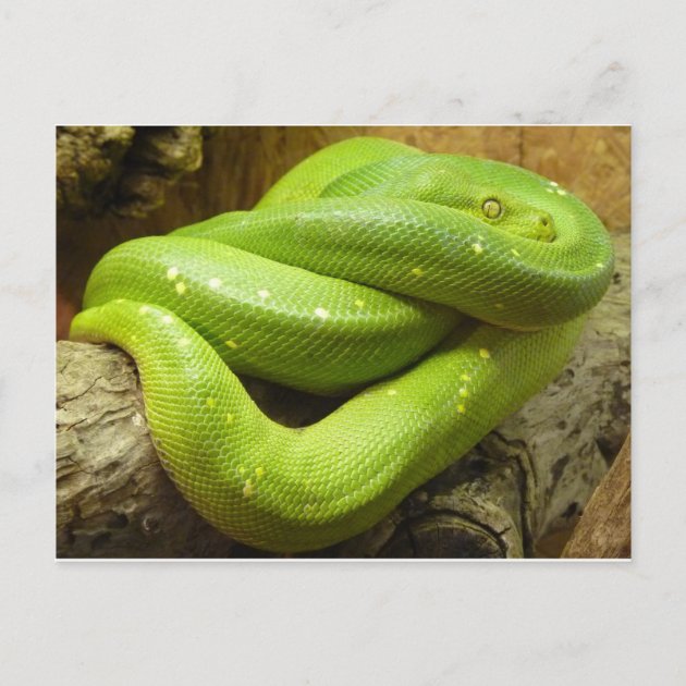 make new audio bar python