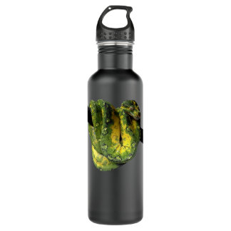 Green Tree Python Reptile Photography Stainless Steel Water Bottle