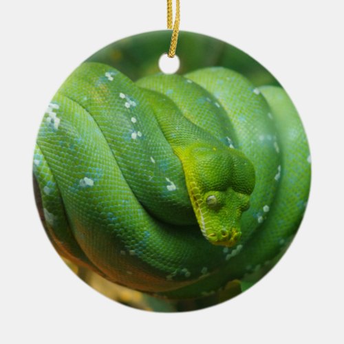 Green Tree Python Snake Ceramic Ornament