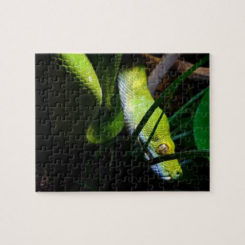 Green Tree Python Snake Owner Jigsaw Puzzle