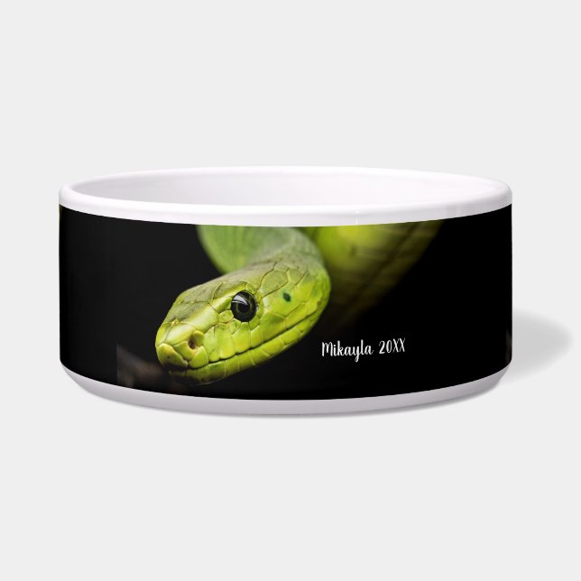 Green Tree Snake  Bowl (Front)