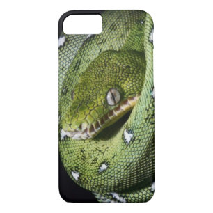 Green tree snake emerald boa in Bolivia iPhone 8/7 Case
