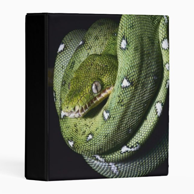 Green tree snake emerald boa in Bolivia Mini Binder (Front/Spine)