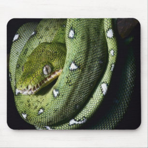 Green tree snake emerald boa in Bolivia Mouse Pad