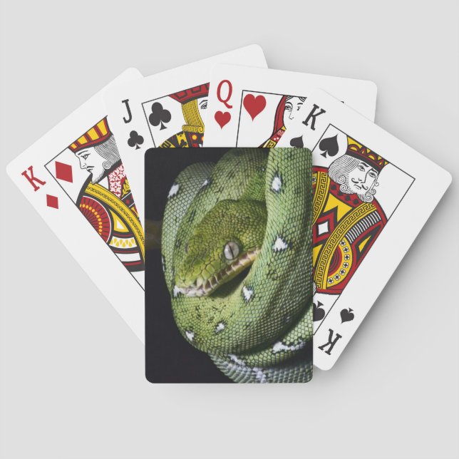 Green tree snake emerald boa in Bolivia Poker Cards (Back)
