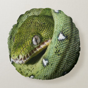 Green tree snake emerald boa in Bolivia Round Pillow