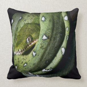 Green tree snake emerald boa in Bolivia Throw Pillow