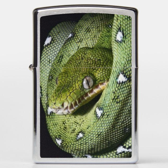 Green tree snake emerald boa in Bolivia Zippo Lighter (Front)