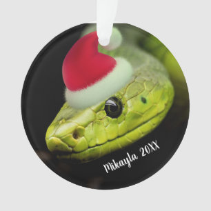 Green Tree Snake in Santa Hat Ornament