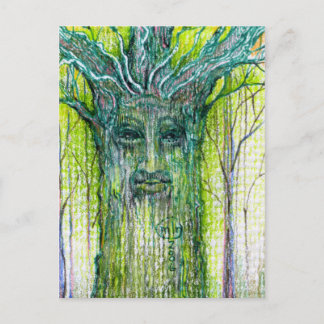 Green Tree Spirit Drawing Postcard