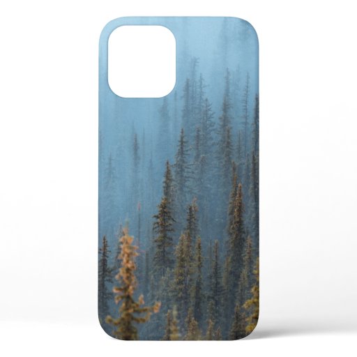 GREEN TREES DURING DAYTIME iPhone 12 CASE