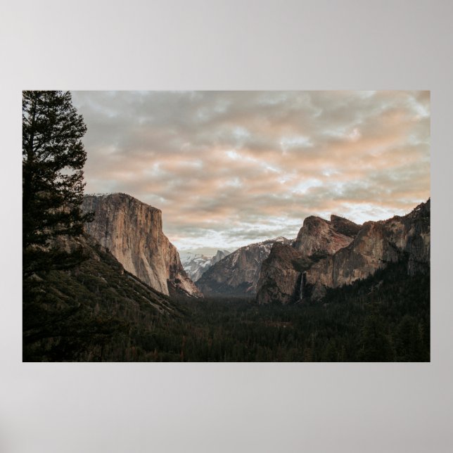 GREEN TREES NEAR BROWN MOUNTAIN UNDER CLOUDY SKY D POSTER (Front)