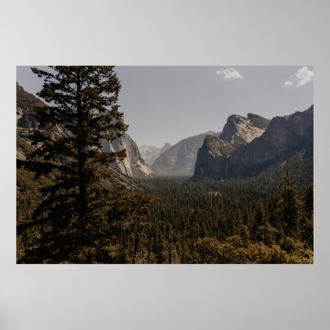 GREEN TREES NEAR MOUNTAIN DURING DAYTIME POSTER (Front)